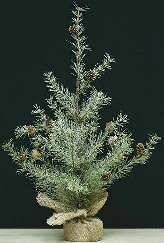 Snowy Cypress Pine Tree 2 ft.